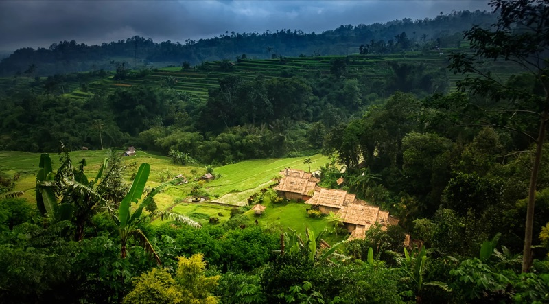 Thatched huts among bright green rice terraces under a dark sky.